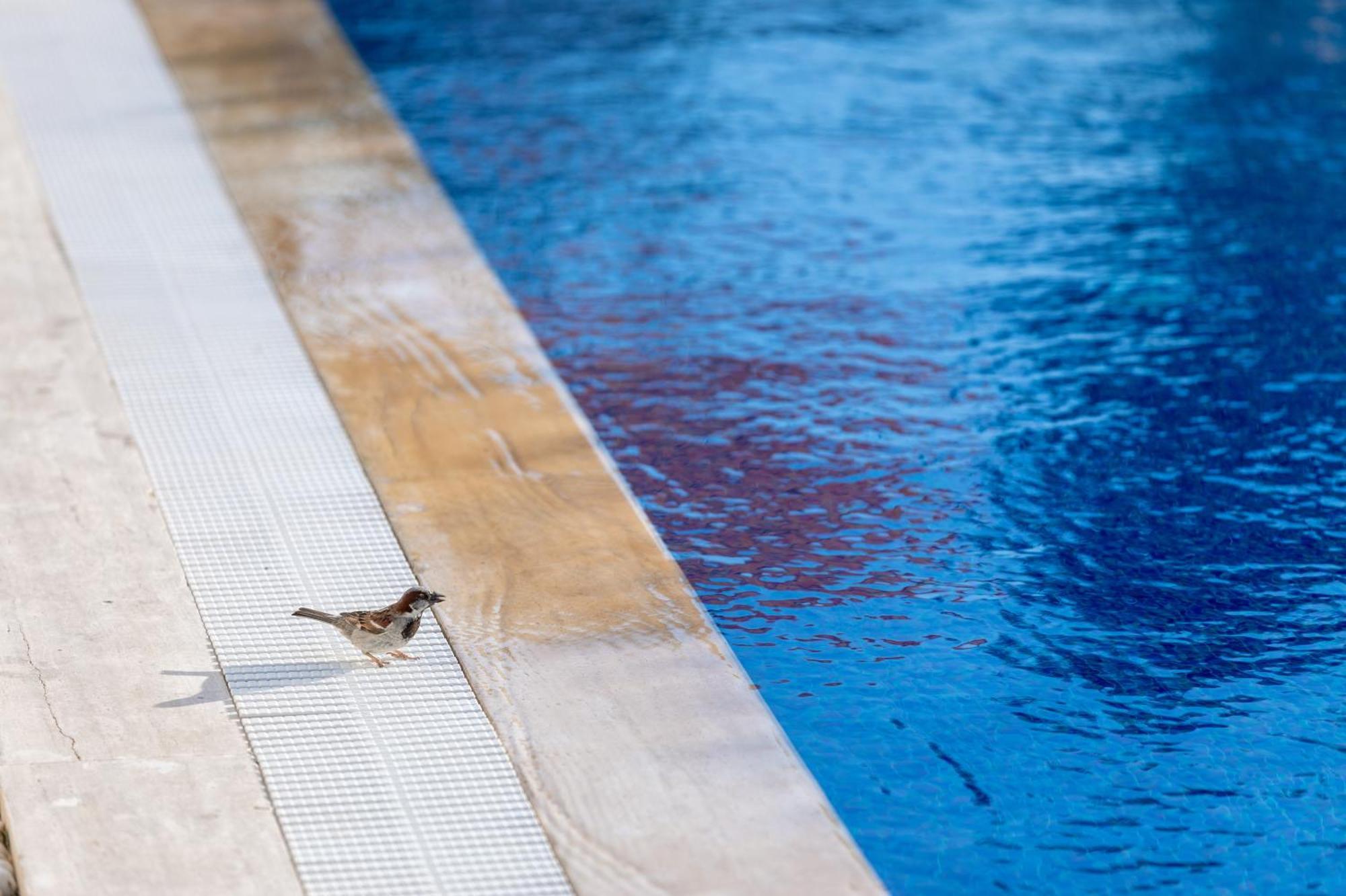 N Hotels Cesme Dalyankoy  Esterno foto